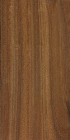 BROWN LANCEWOOD