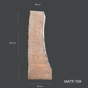 matp 709