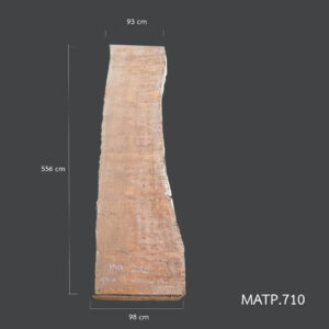 matp 710