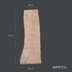 matp 711