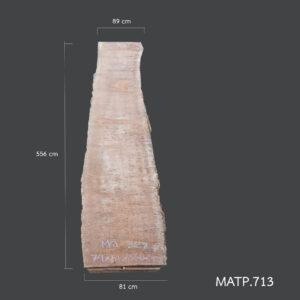 matp 713