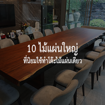 10 ไม้แผ่นใหญ่