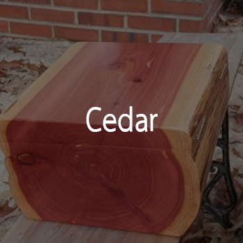 Cedar