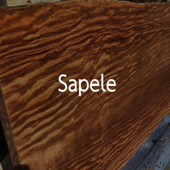 Sapele 1