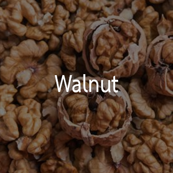 walnut 1