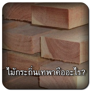 ไม้กระถิ่นเทพา
