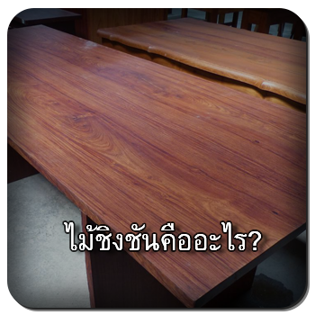ไม้ชิงชัน 1