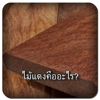 ไม้แดง