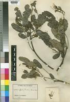 k000417735