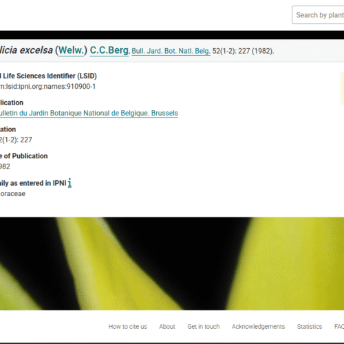 สกรีนช็อต 2026 08 27 094524
