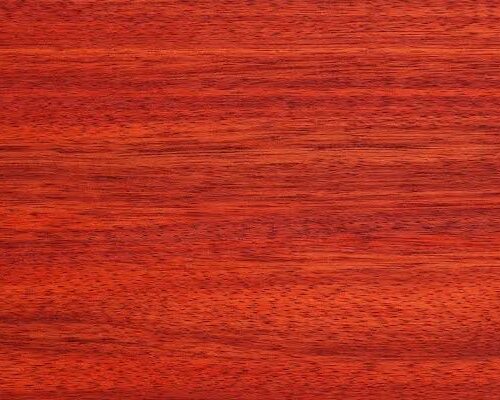 African Padauk Red Wood Texture